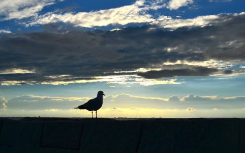 Sehnsucht | schwedengiraffe.de