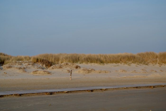 Nordsee | schokogiraffe.de