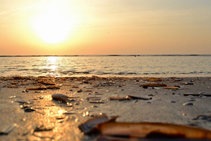 Nordsee | schokogiraffe.de