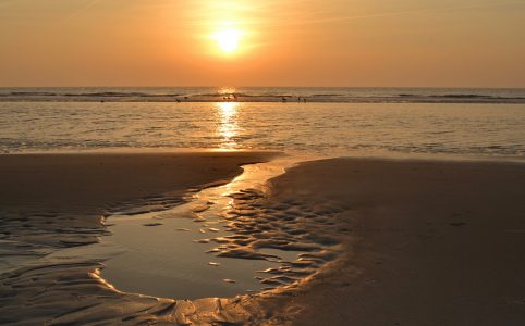Nordsee | schokogiraffe.de