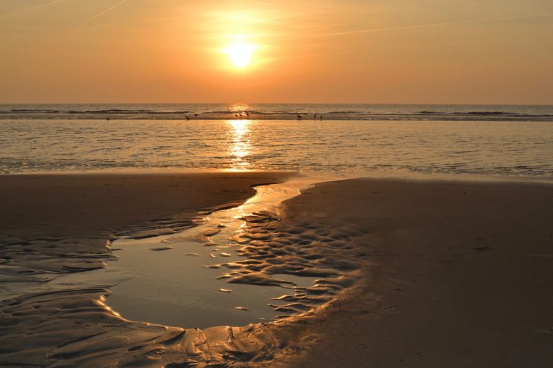 Nordsee | schokogiraffe.de