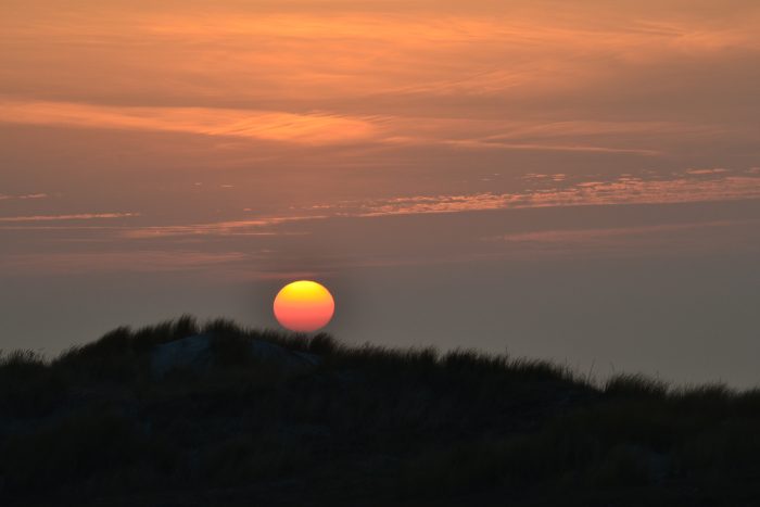 Nordsee | schokogiraffe.de