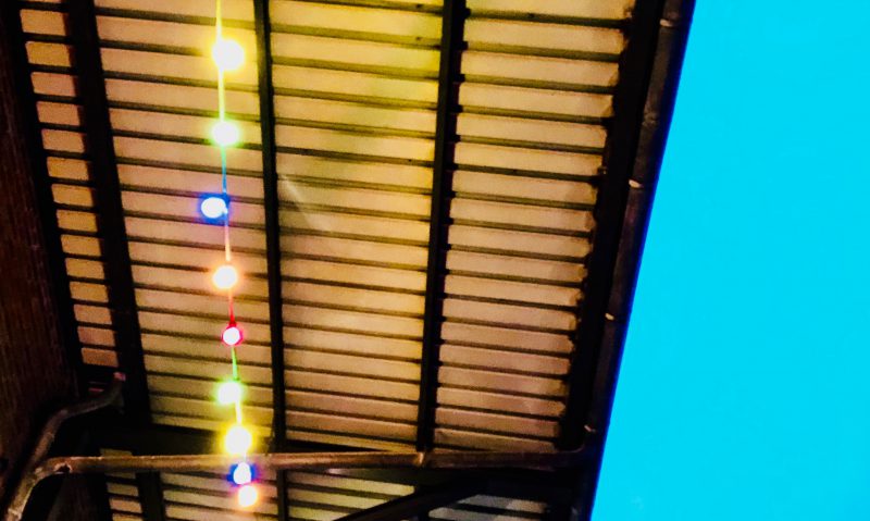Weihnachten | schokogiraffe.de