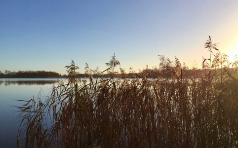 Mecklenburg | schokogiraffe.de