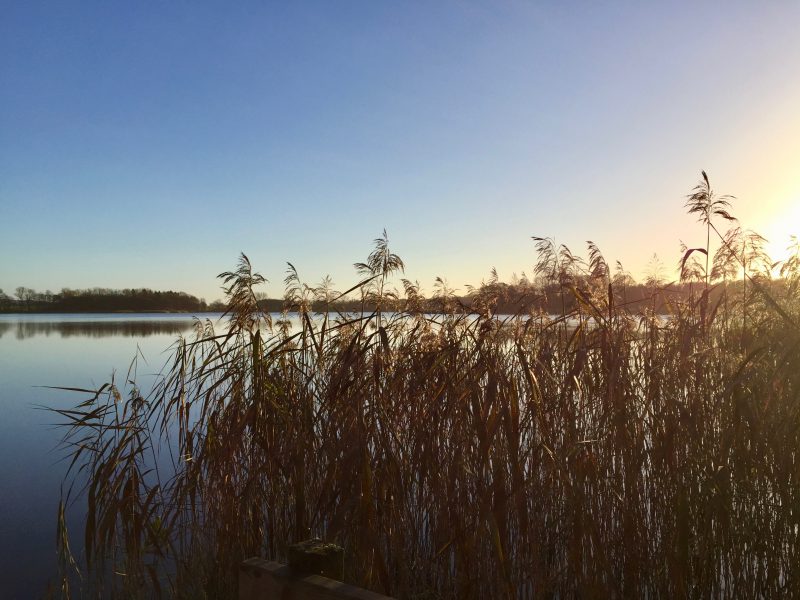 Mecklenburg | schokogiraffe.de
