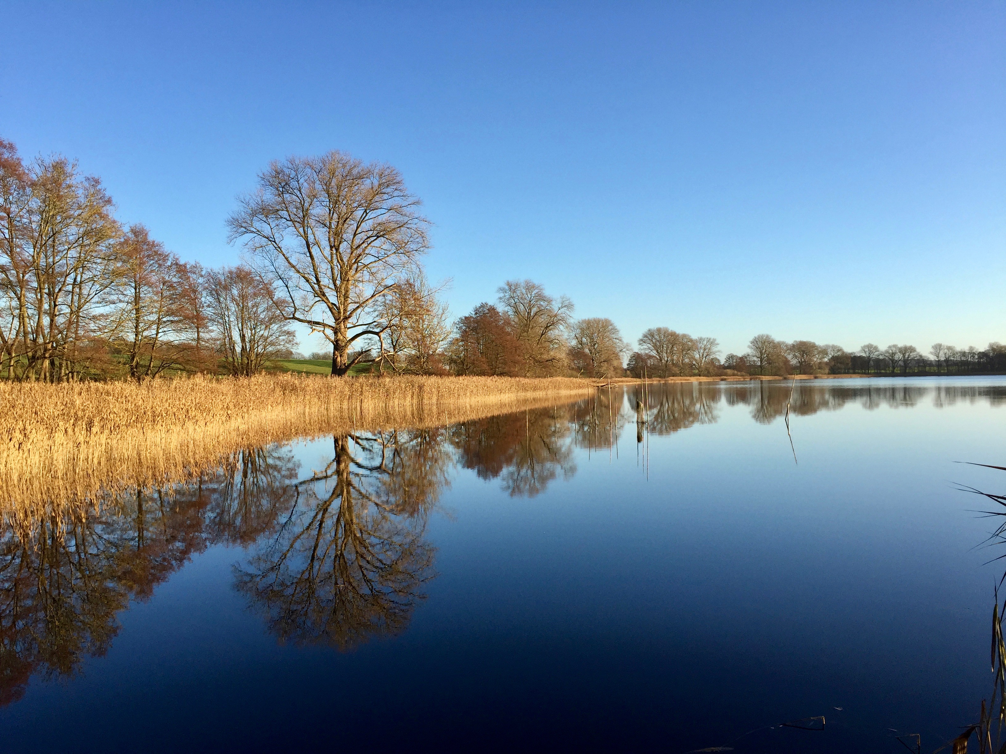 Mecklenburg | schokogiraffe.de