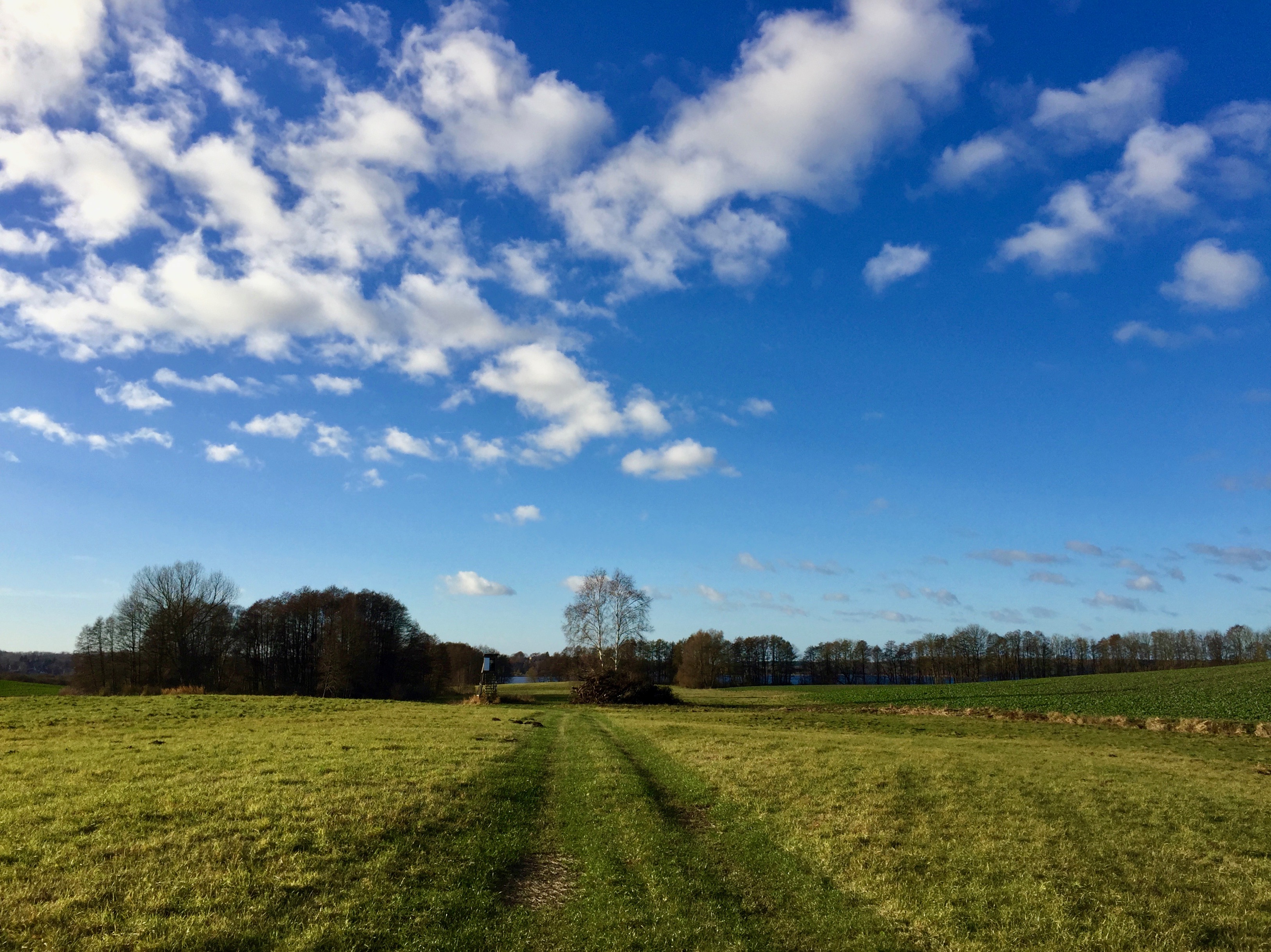 Mecklenburg | schokogiraffe.de